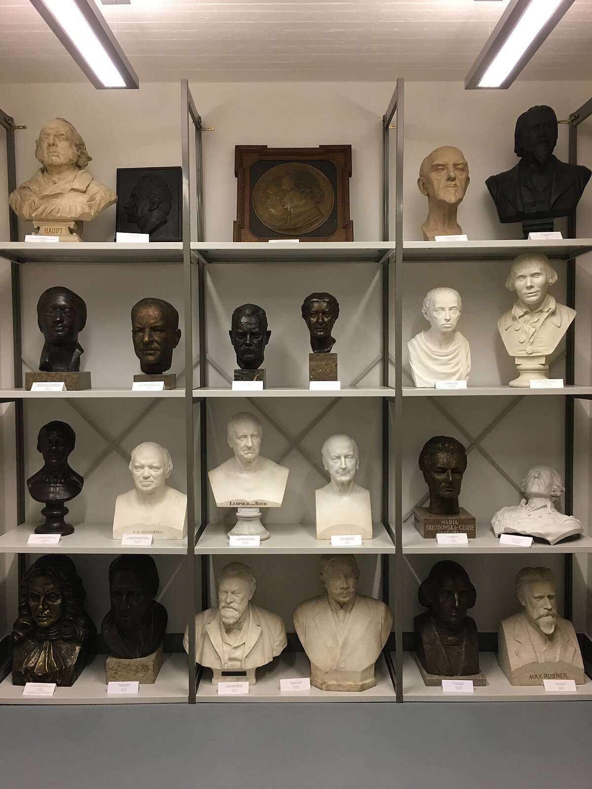 Archiv der BBAW, Sammlungen, Büstensammlung